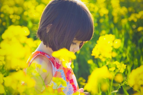 Cute Little Girl At Summer Meadow wallpaper 480x320