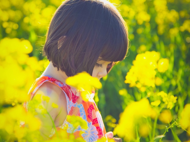 Cute Little Girl At Summer Meadow wallpaper 640x480