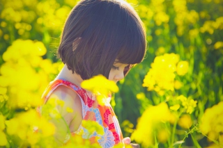 Cute Little Girl At Summer Meadow Background for Android, iPhone and iPad
