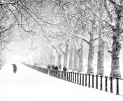 Winter Walk screenshot #1 176x144