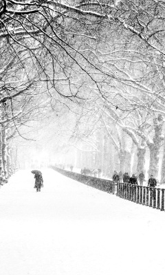 Winter Walk screenshot #1 240x400