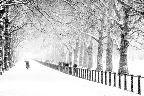 Winter Walk screenshot #1 480x320