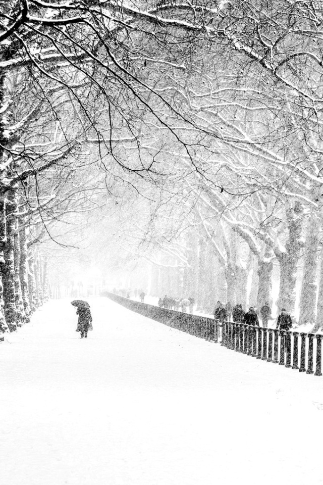 Winter Walk screenshot #1 640x960