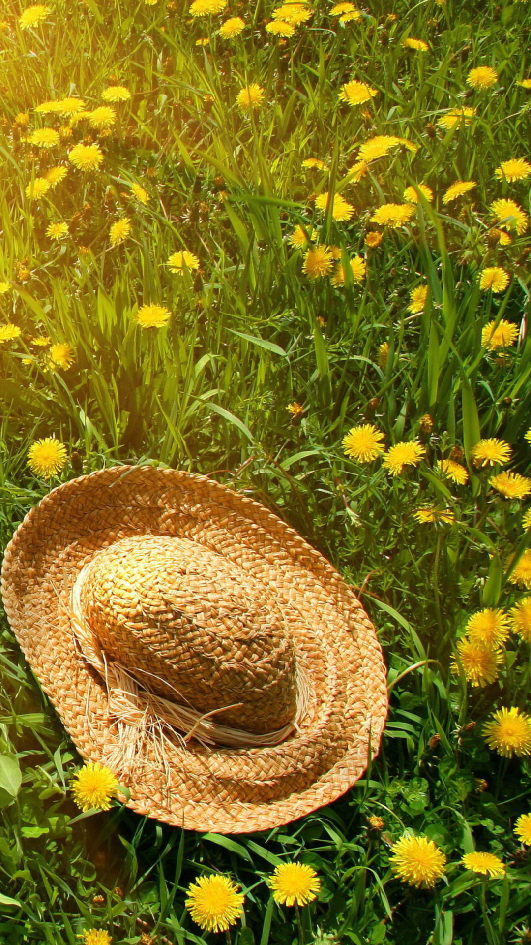 Sfondi Hat On Green Grass And Yellow Dandelions 1080x1920