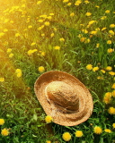 Hat On Green Grass And Yellow Dandelions wallpaper 128x160