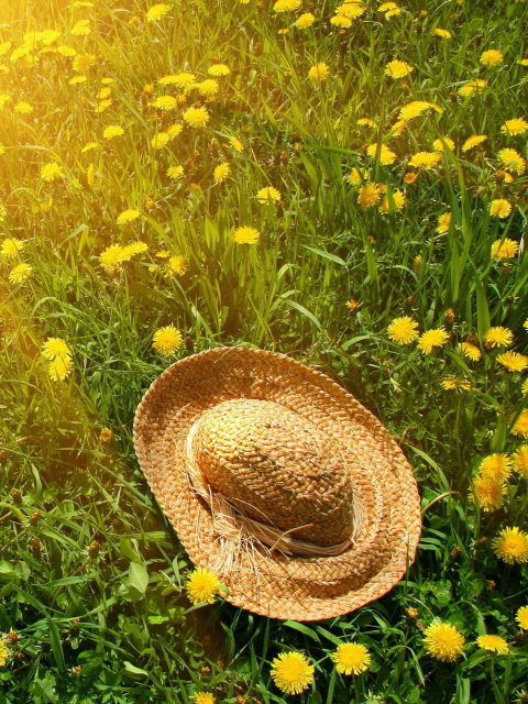 Screenshot №1 pro téma Hat On Green Grass And Yellow Dandelions 480x640