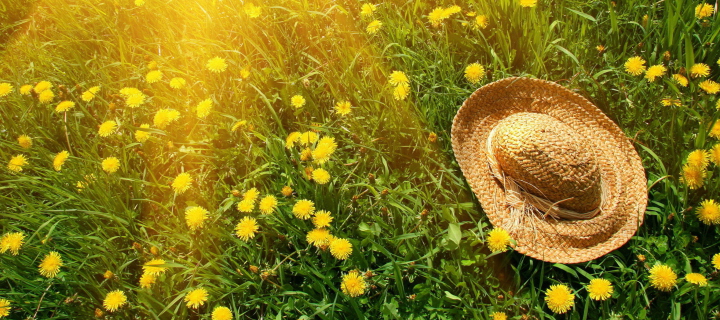Hat On Green Grass And Yellow Dandelions wallpaper 720x320