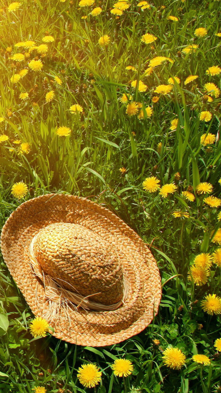 Sfondi Hat On Green Grass And Yellow Dandelions 750x1334