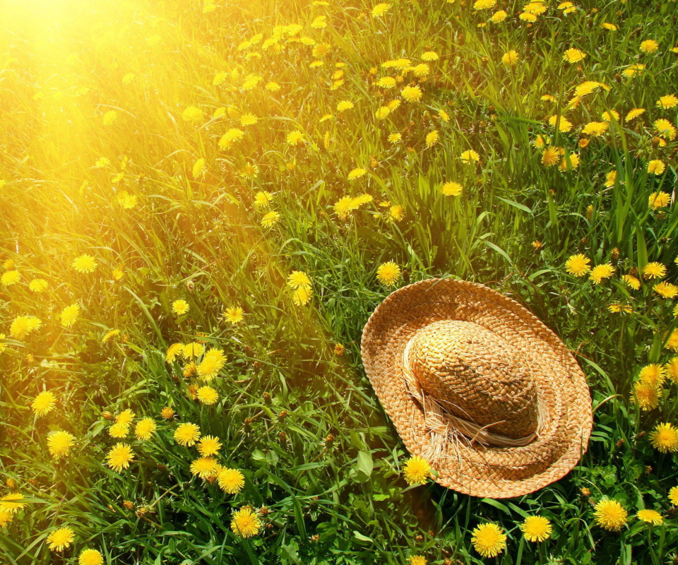 Hat On Green Grass And Yellow Dandelions wallpaper 960x800
