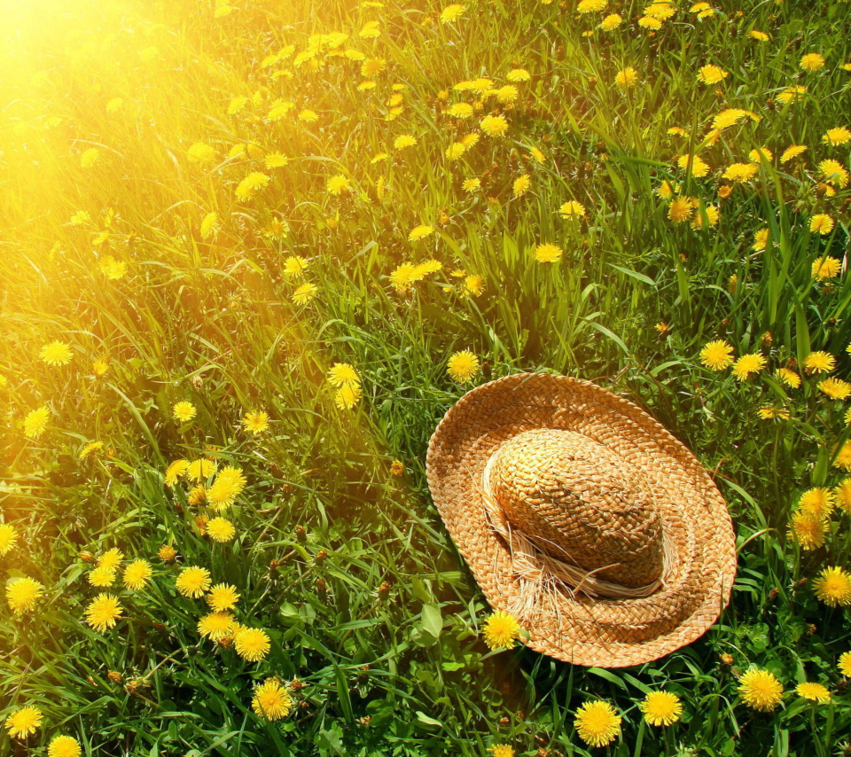 Hat On Green Grass And Yellow Dandelions wallpaper 960x854