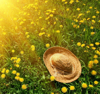 Hat On Green Grass And Yellow Dandelions - Obrázkek zdarma pro 208x208