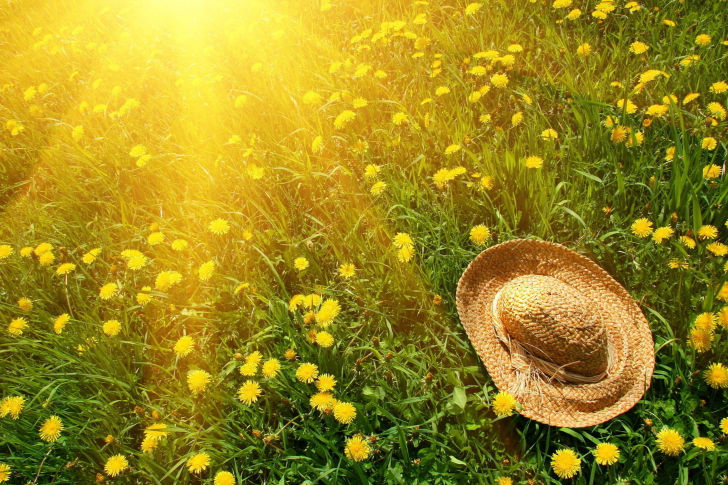 Hat On Green Grass And Yellow Dandelions wallpaper