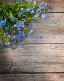 Blue Forget-Me-Not wallpaper 128x160