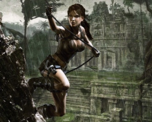 Das Tomb Raider Underworld Wallpaper 220x176