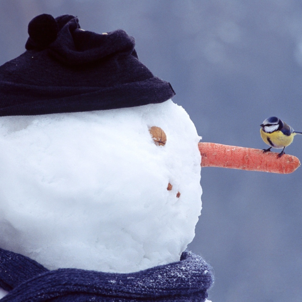 Fondo de pantalla Snowman And Sparrow 1024x1024