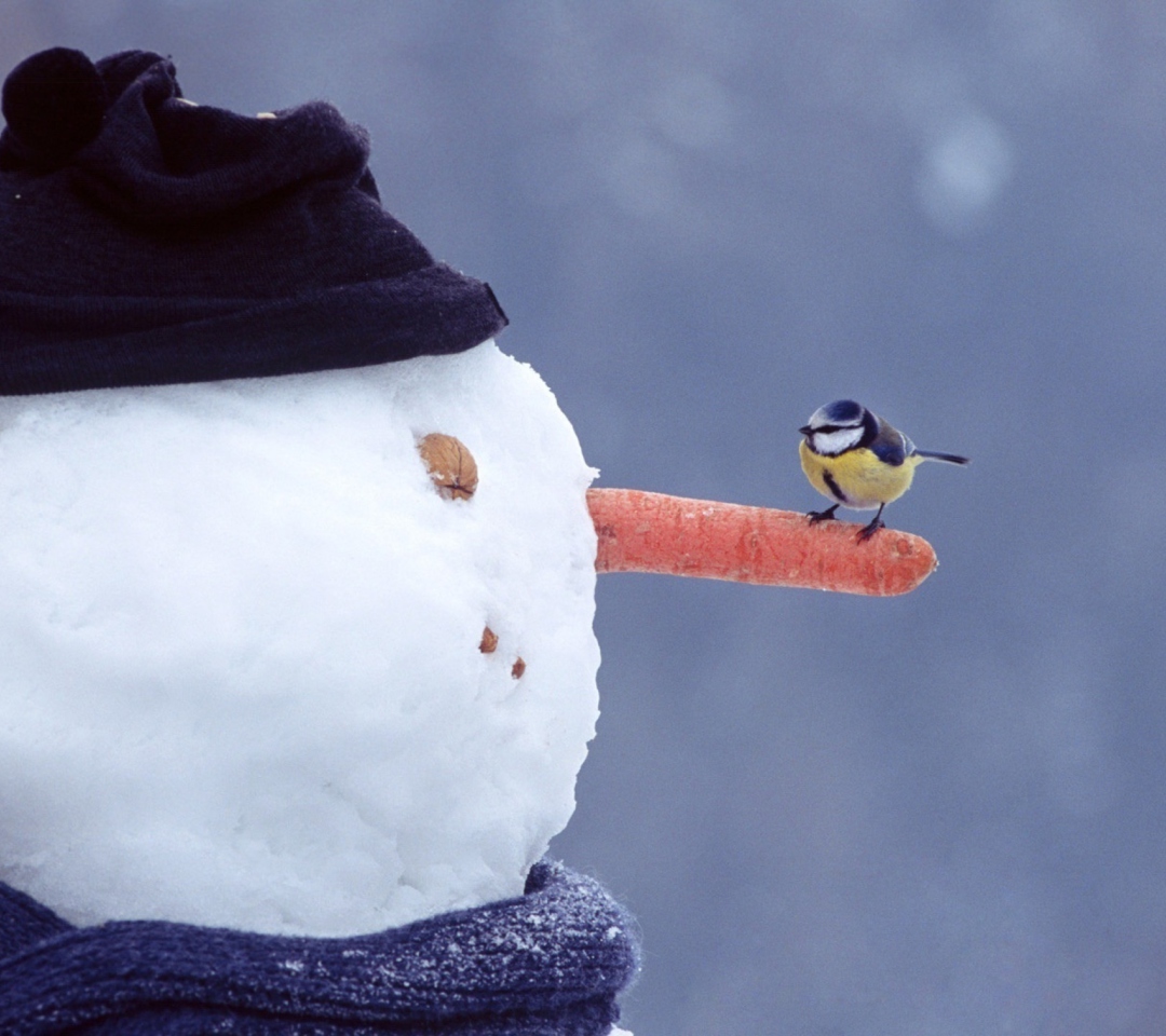 Snowman And Sparrow wallpaper 1080x960