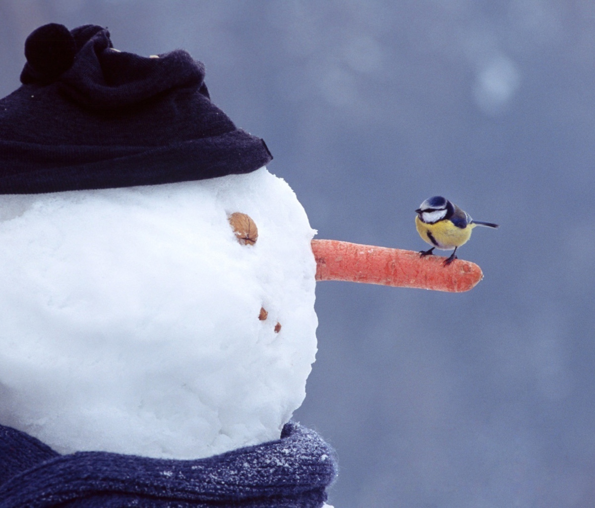 Snowman And Sparrow wallpaper 1200x1024