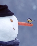 Snowman And Sparrow wallpaper 128x160