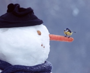 Обои Snowman And Sparrow 176x144