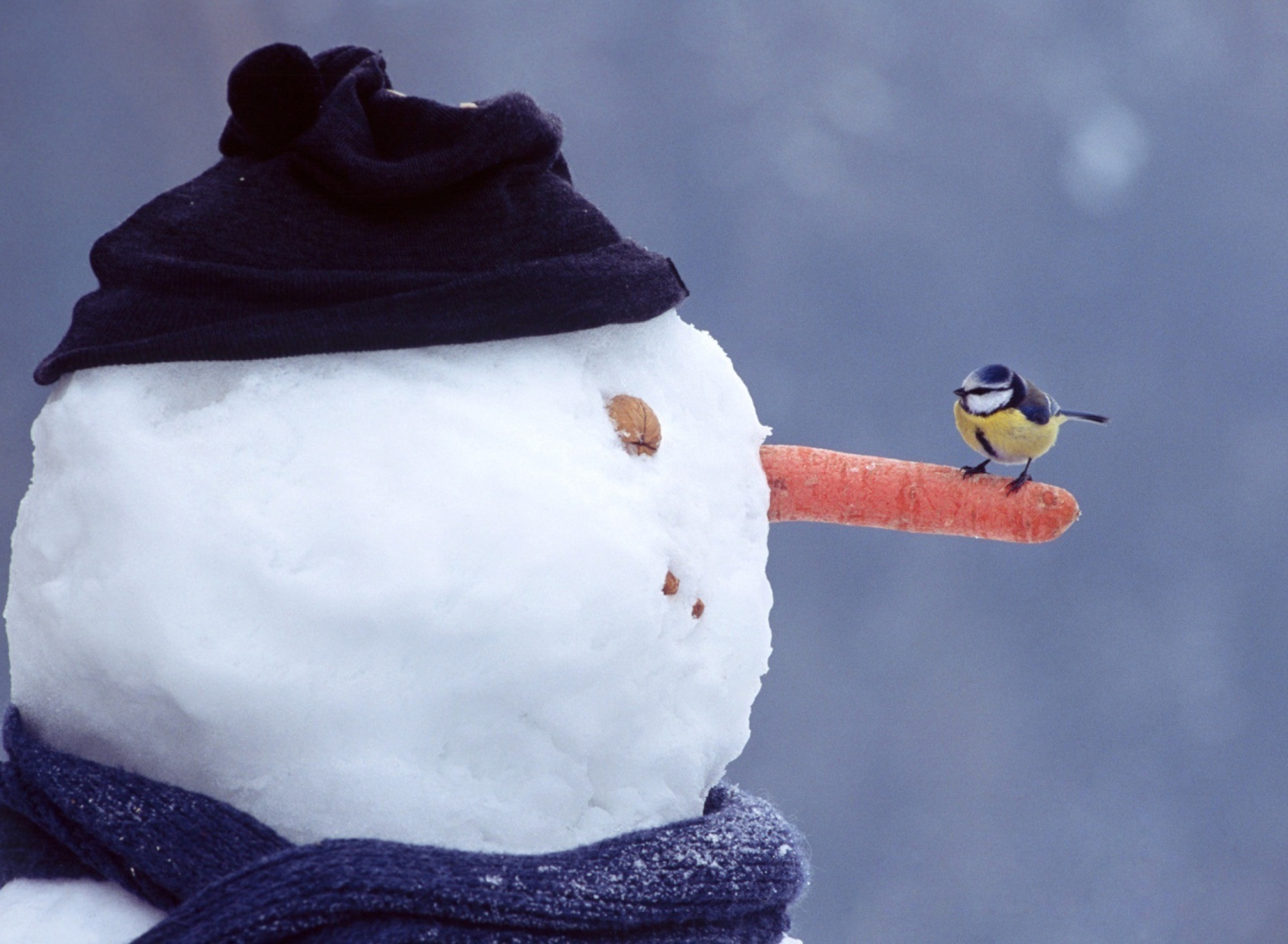 Fondo de pantalla Snowman And Sparrow 1920x1408