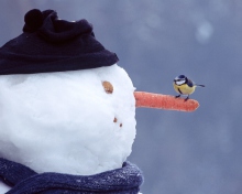 Snowman And Sparrow wallpaper 220x176