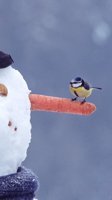 Snowman And Sparrow wallpaper 360x640