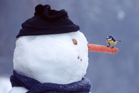 Fondo de pantalla Snowman And Sparrow 480x320