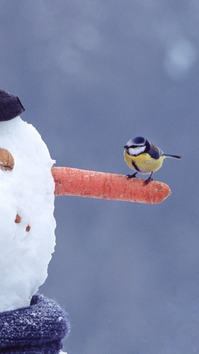 Snowman And Sparrow wallpaper 640x1136