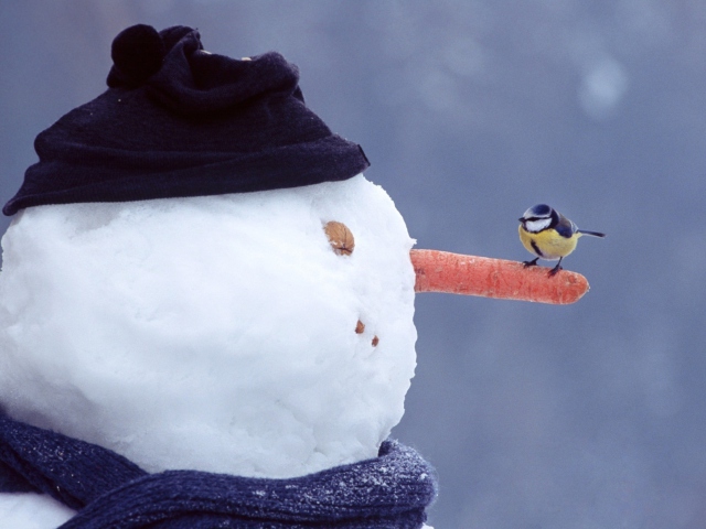 Fondo de pantalla Snowman And Sparrow 640x480