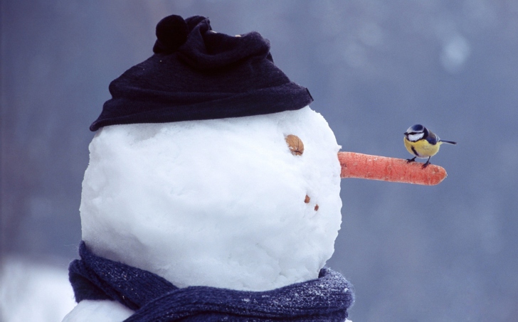 Snowman And Sparrow wallpaper