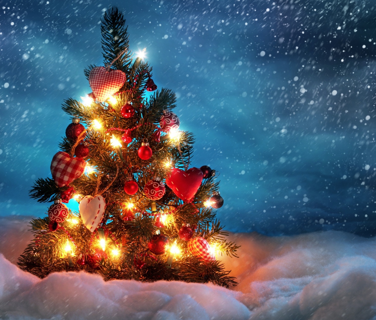 Fondo de pantalla Beautiful Christmas Tree 1200x1024