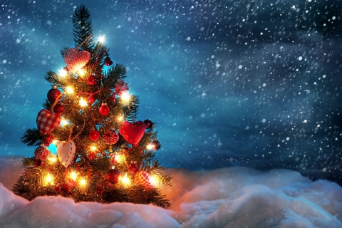 Beautiful Christmas Tree wallpaper 480x320