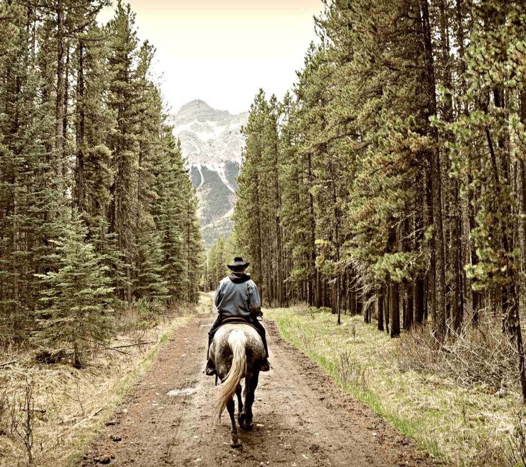 Das Horse Rider Wallpaper 1080x960