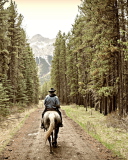Fondo de pantalla Horse Rider 128x160