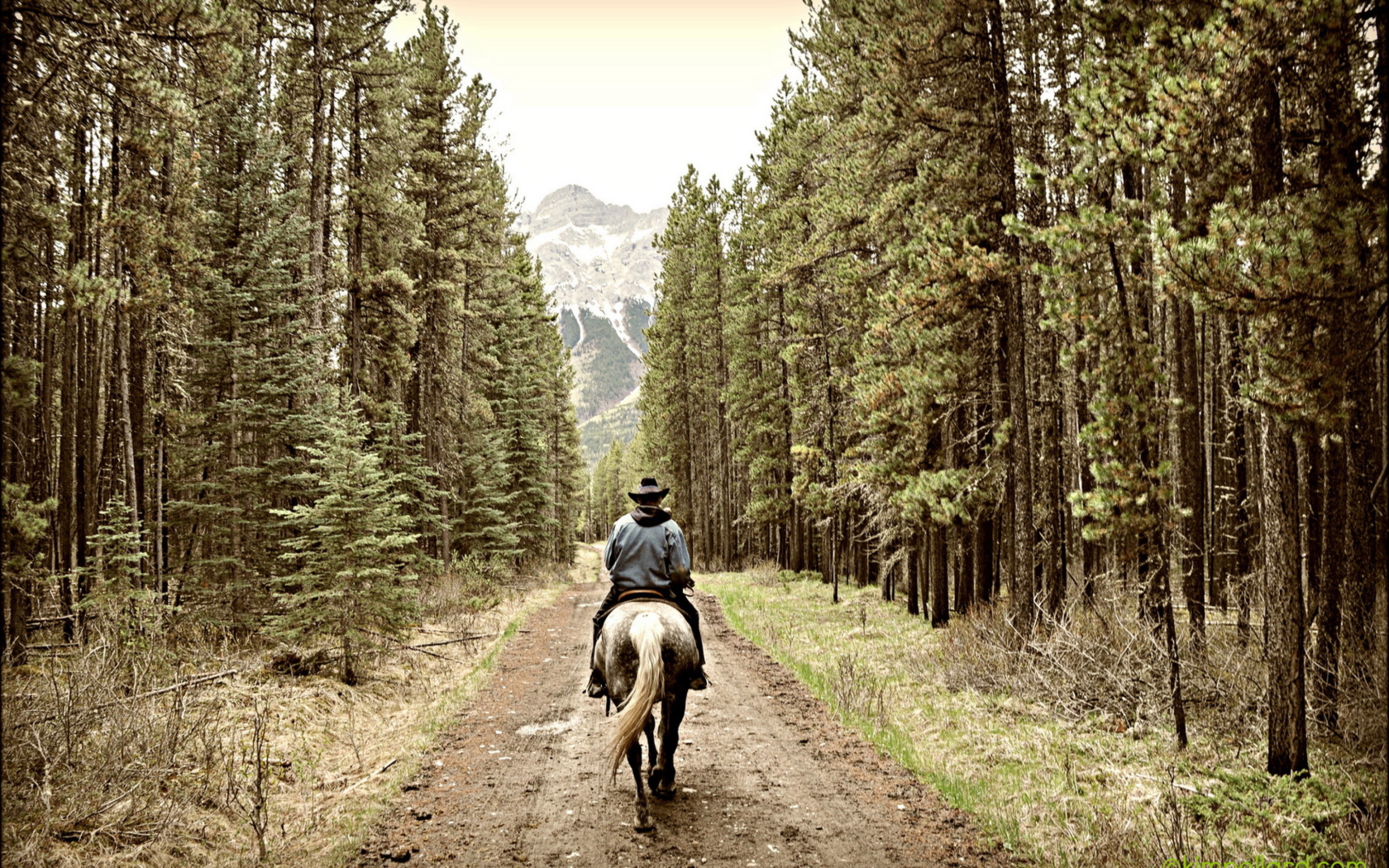 Fondo de pantalla Horse Rider 1680x1050