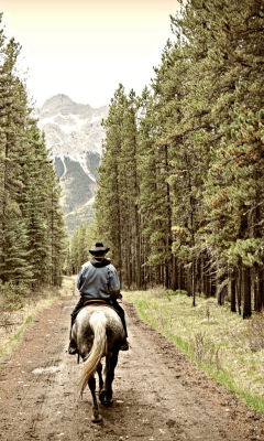 Horse Rider screenshot #1 240x400