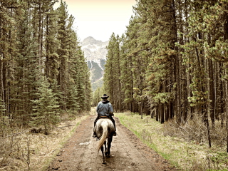 Fondo de pantalla Horse Rider 320x240