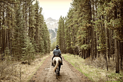 Fondo de pantalla Horse Rider 480x320