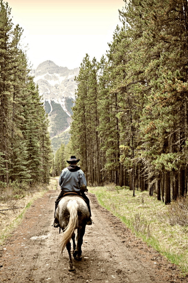 Horse Rider screenshot #1 640x960