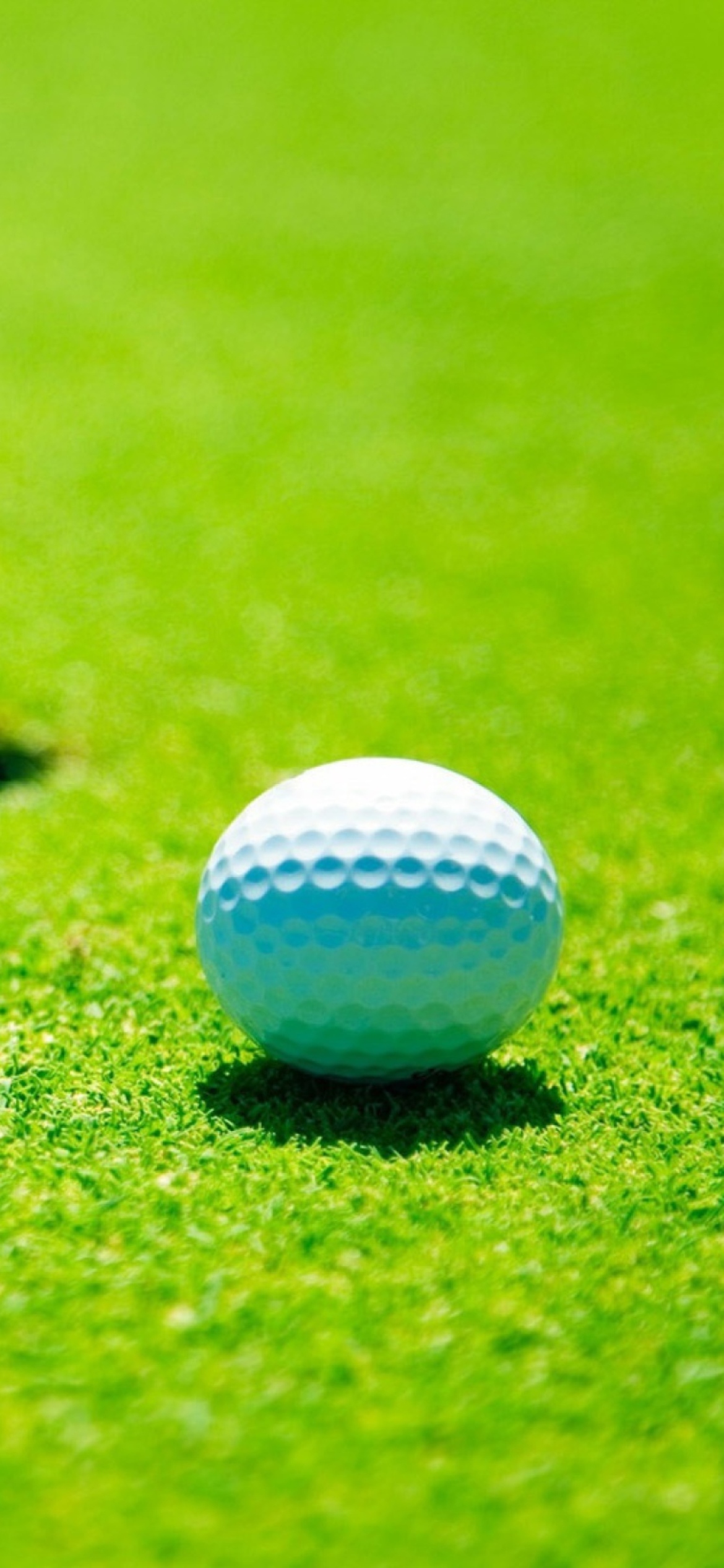 Fondo de pantalla Golf Ball 1170x2532