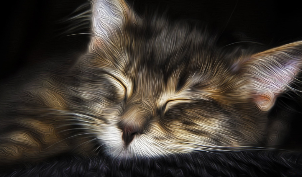 Fondo de pantalla Sleepy Cat Art 1024x600