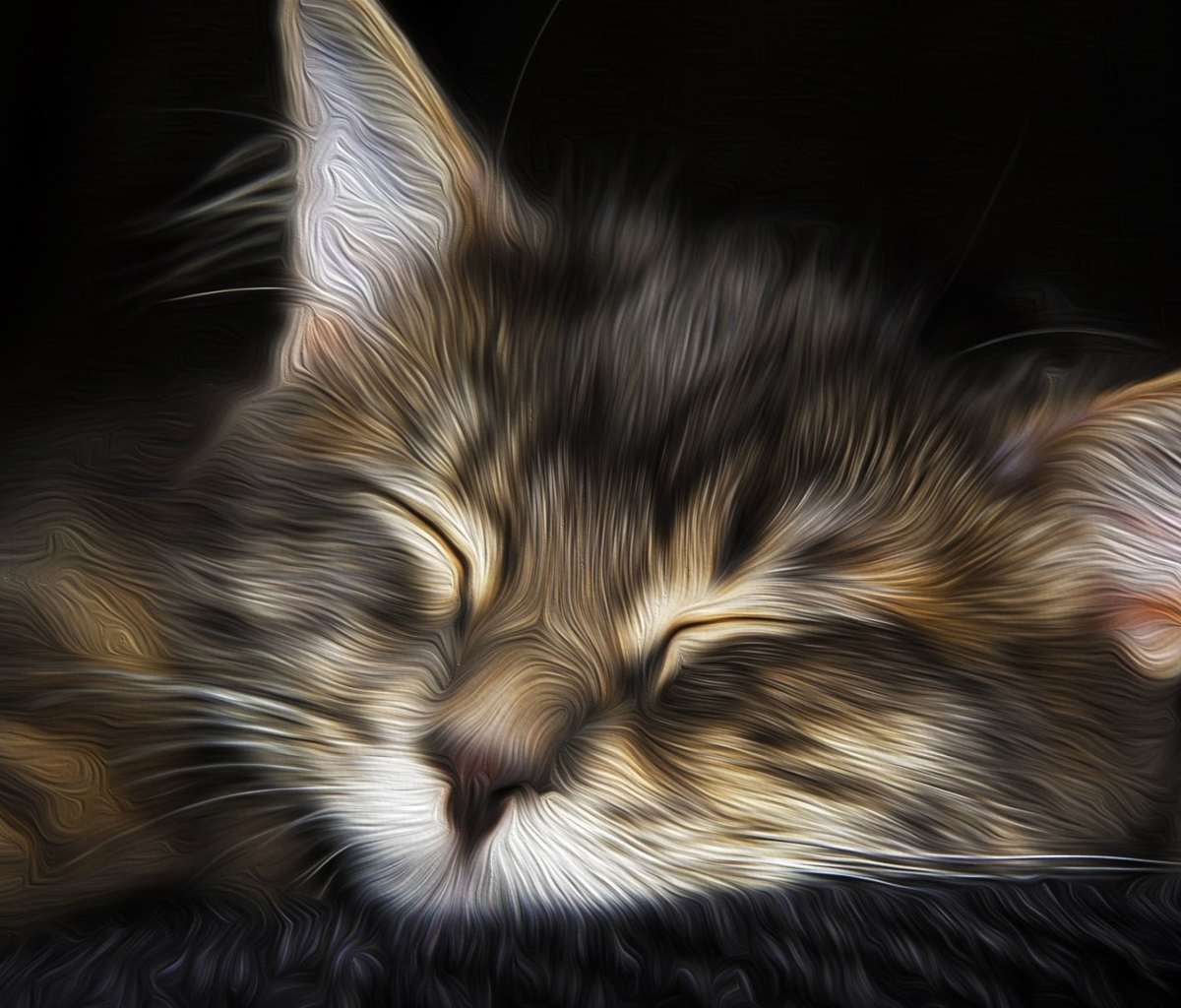 Sleepy Cat Art wallpaper 1200x1024
