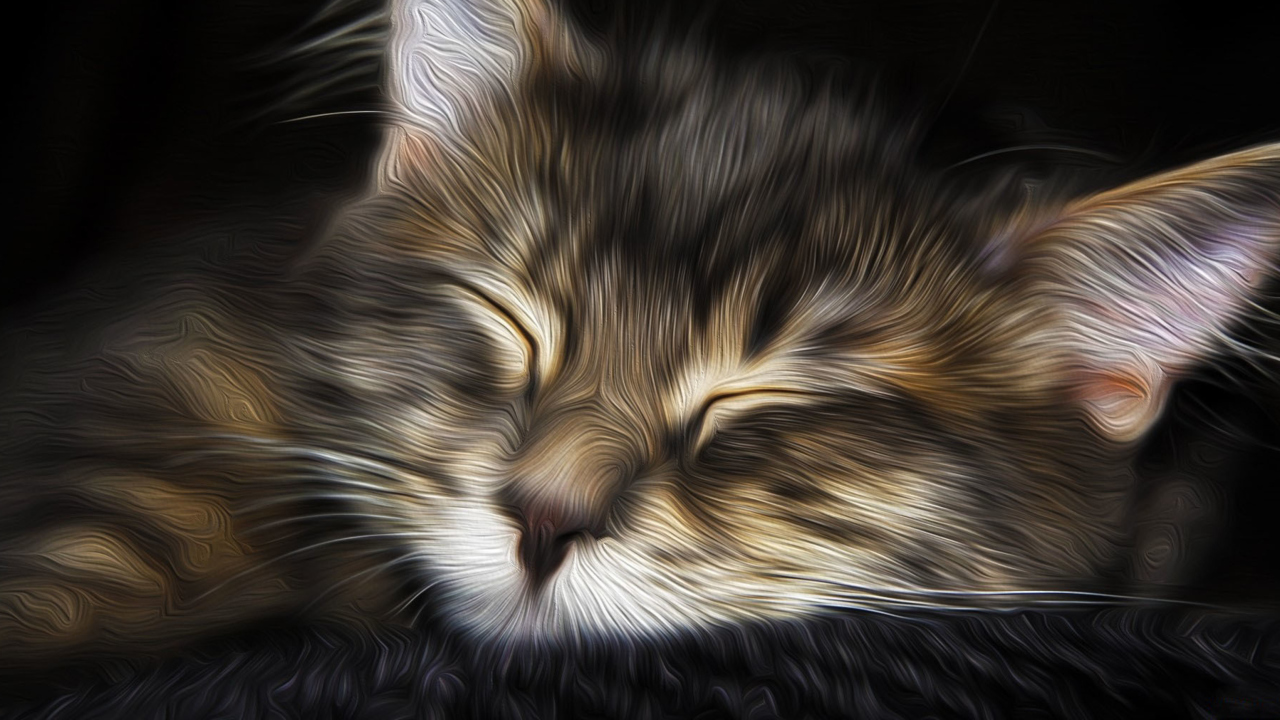 Обои Sleepy Cat Art 1280x720