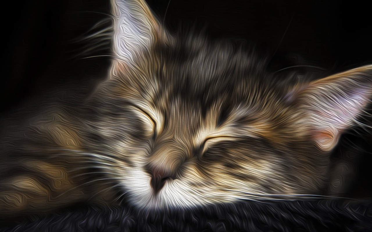 Das Sleepy Cat Art Wallpaper 1280x800