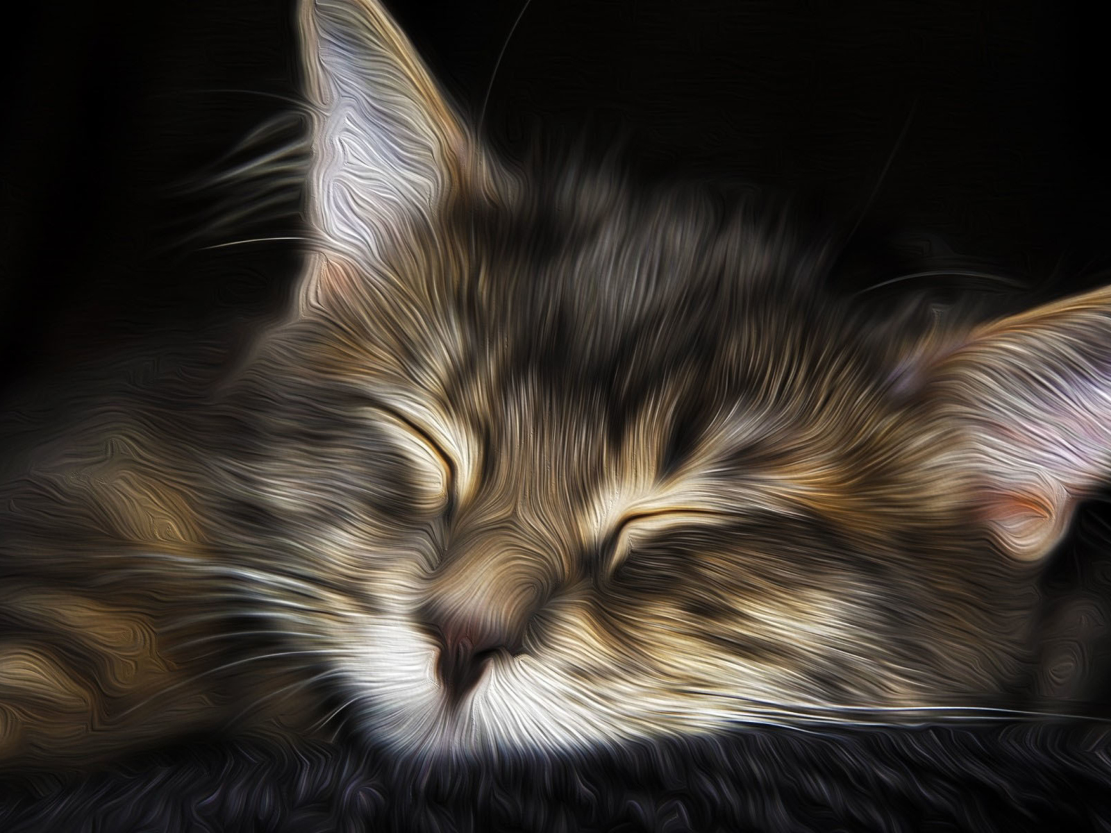 Das Sleepy Cat Art Wallpaper 1600x1200