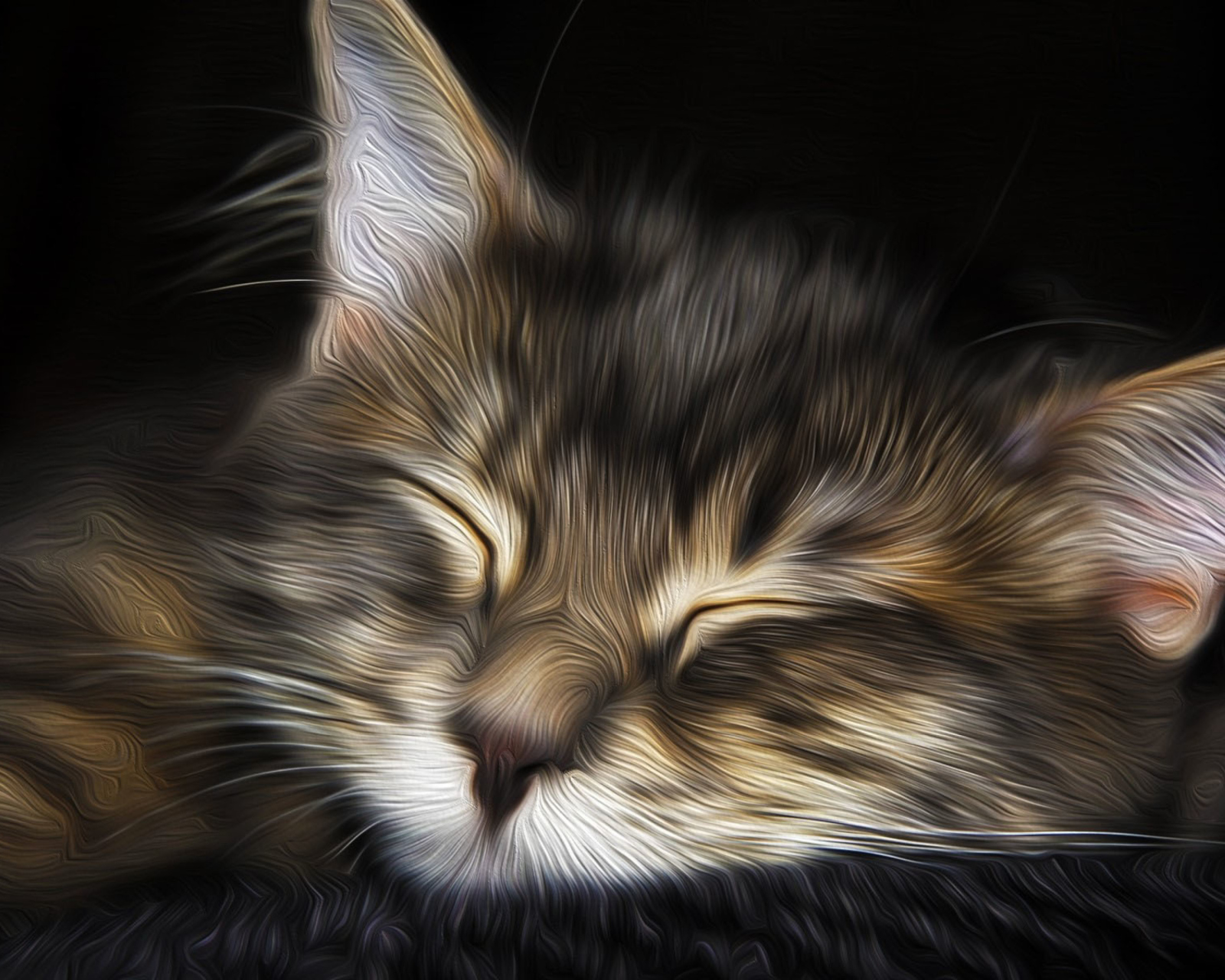 Das Sleepy Cat Art Wallpaper 1600x1280