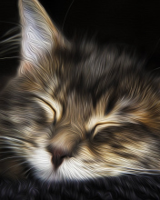 Das Sleepy Cat Art Wallpaper 176x220
