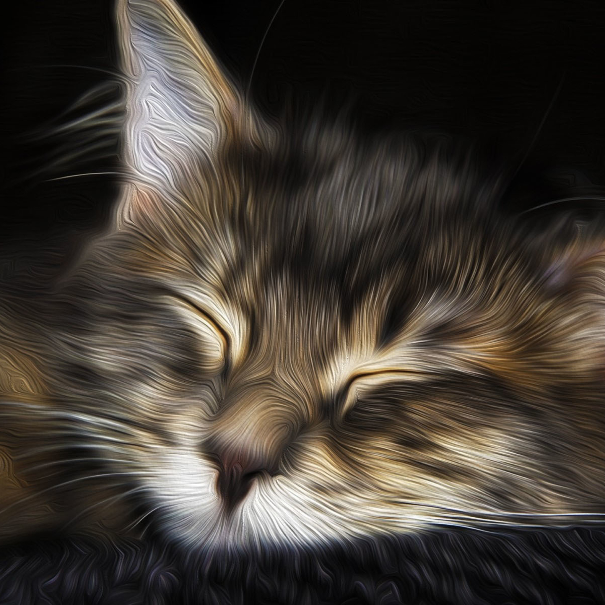 Обои Sleepy Cat Art 2048x2048
