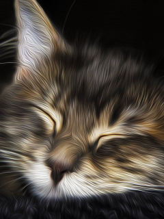 Sleepy Cat Art wallpaper 240x320