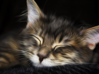 Das Sleepy Cat Art Wallpaper 320x240